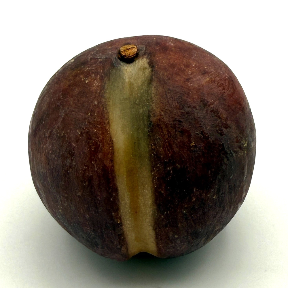 Alabaster Stone Fruit Purple Plum Realistic Split Wood Stem Hand Carved Heavy